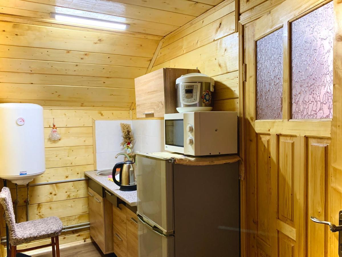 Apartmán За Горбами Jaremče Exteriér fotografie